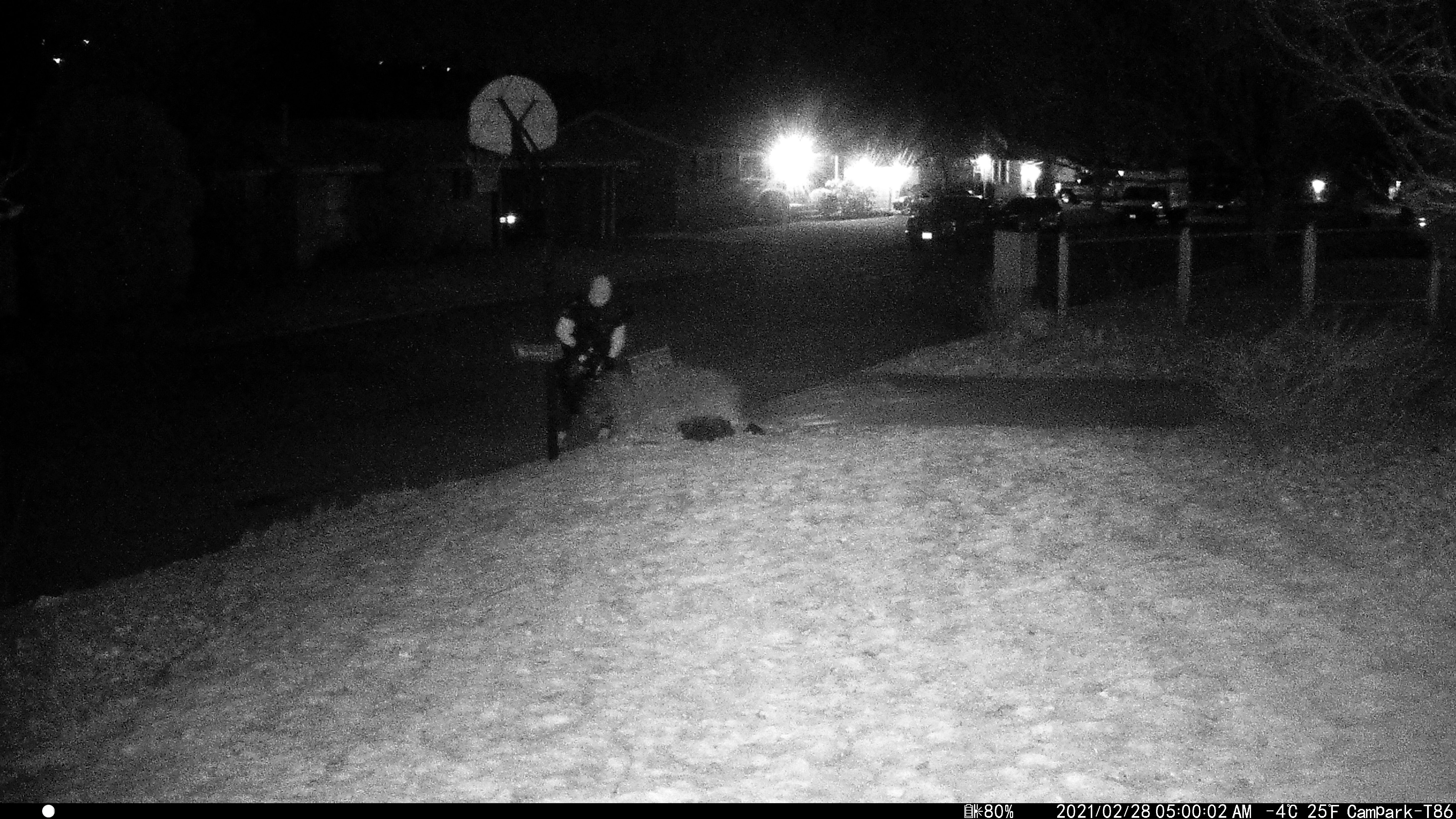 Upload a video or photos